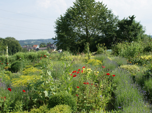 wildgarten